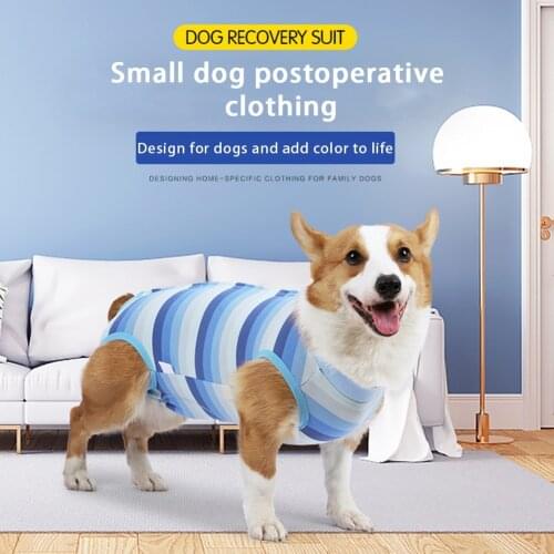 Pet Dogs Clothes For Operation Recovery Suit Anti Licking Wounds After Surgery Surgery Suit Four-legged Jumpsuit Pet Supplies