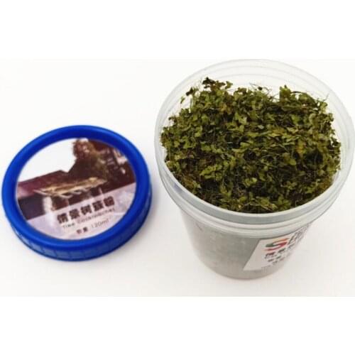 120ml Miniatures Scatter Foliage Material Set for Scenery Layout Fairy Garden DIY Decor