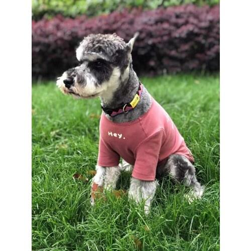 Pet Clothes for Cats and Dogs Base Spring and Summer New Pet Clothes Cheap Clothes Dog Coats for Small Dogs Dog Fashion Pet P