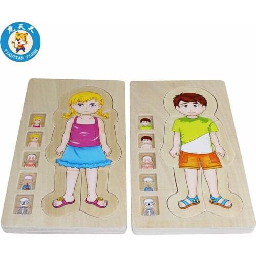 Wooden Montessori Material Baby Children Multi-layer Puzzles Educational Toys Body of Man And Women Human Structure