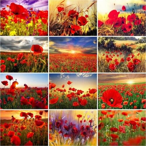 MomoArt 5D DIY Diamond Painting Poppy Craft Kit Diamond Embroidery Flower Rhinestone Picture Wall Art Decor