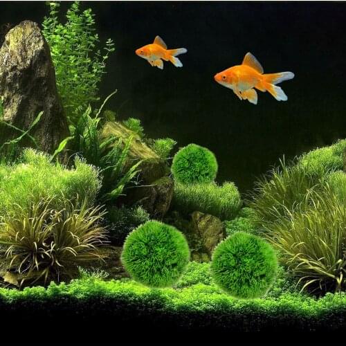 Moss Balls Live Aquarium Plant Algae Fish Shrimp Tank Ornament Happy Environmental Green Seaweed Ball
