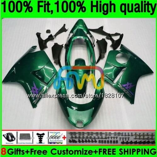 CBR1100 XX For HONDA Blackbird CBR 1100XX 02 03 05 06 07 132BS.122 CBR1100XX 2002 2003 2004 2005 Dark green 2006 2007 Fairings