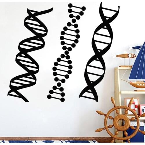 DNA Genealogy Wall Sticker Biology Chemistry Decal School Science Class Decoration Home Decor Bedroom Mural Poster