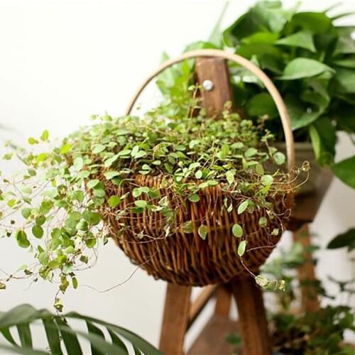 25cm/30cm Wicker Woven Wall Hanging Flower Basket Planter Pots Succulent Plant Garden Patio Hanger Garden Balcony Flower Stand