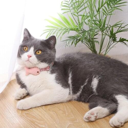 Cartoon Fish Pet Supplies Cat Collar Adjustable Buckle Collar Cat Pet Supplies Cat Accessories Puppies Neck Band D5085