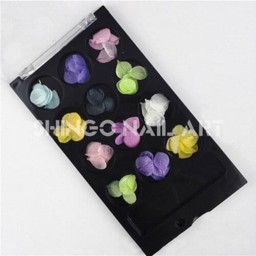 Latest Japanese fashion Nail Art Real Dried Flower petals Decoration small petals mix random colors nail art case kit