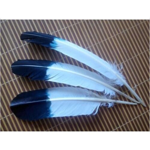 New Wholesale 10 pcs beautiful dyed black and white feather Turkey feathers 25 to 30 cm feather clothing/headwear decoration