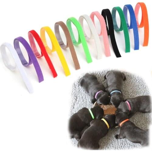 12Pcs/lot Dogs Collars Puppy Kitten Identification Collar Kitten Whelping ID Collar Bands For Small Dogs Cats Pet Supplies