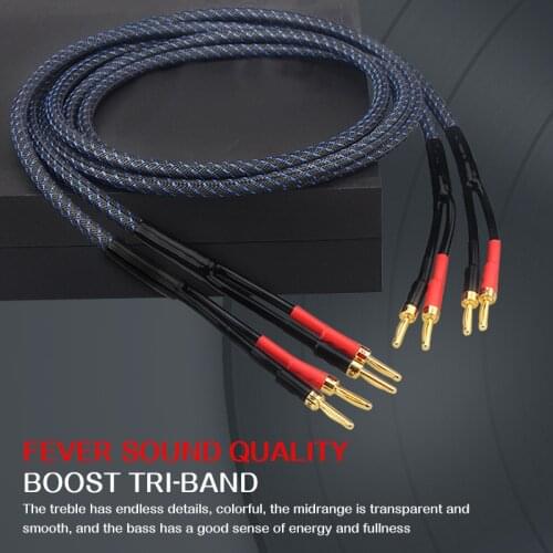 Hifi Audio Speaker Cable Professional Amplifier Speaker Wire Copper Banana Plug