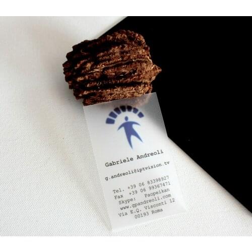 Cheap printing clear plastic material transparent pvc business card