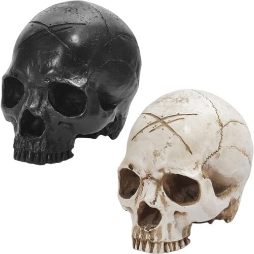 Realistic Human Head Skull Anatomy Teaching Model Skeleton Statue for Tabletop Halloween Props Party Bar Decor Ornament Gift
