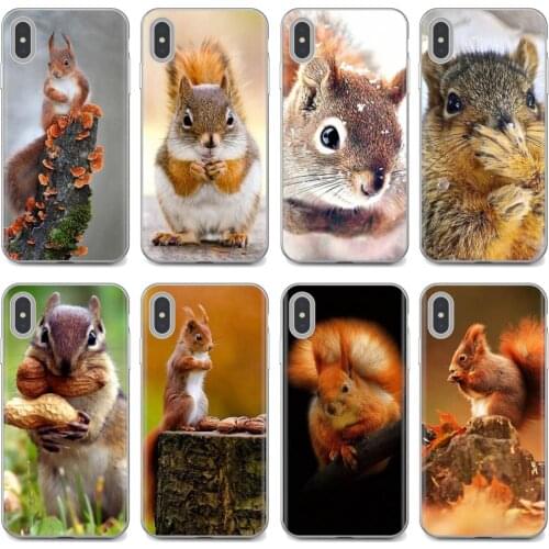 Silicone Case For Samsung Galaxy A10 A40 A50 A70 A3 A5 A7 A9 A8 A6 Plus 2018 2015 2016 2017 Red Squirrel Sciurus vulgaris Print