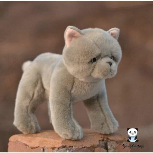 Real life plush Gray cats Soft ikids toys birthday gifts stuffed British shorthair cat model dolls present toy girls