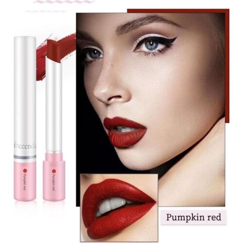 Hot Sales 4PC/SET Waterproof Nude Matte 4 Colors Velvet Glossy Lip Gloss Lipstick Lip Balm Sexy Red Nude Lipstick Lip Tint TSLM2