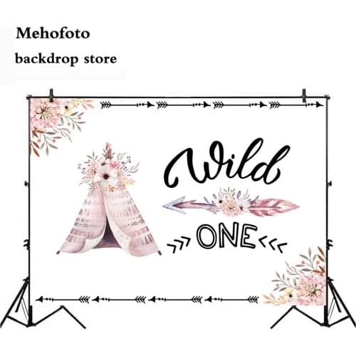 Mehofoto Newborn Tribal Party Baby Shower Photo Backgrounds Wild One Birthday childrens backdrop Carnival Backdrop Studio 740