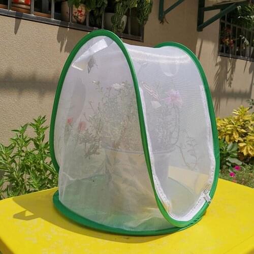 Mini Plant Greenhouse Plant Protection Cover Durable Folding Insect Cage Butterfly Cage Insect Observation Cage Plant Insect Net