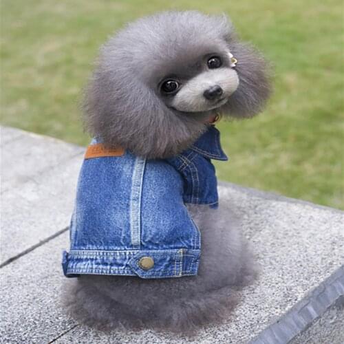 Pet Puppy Autumn Clothes Dog Denim Coat Buckle Jacket for Puppy Small Dogs Cats French Bulldog Clothes Fashion Pet Dog Apparel