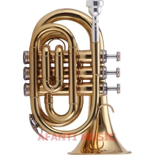 Afanti Bb tone Brass Body Gold lacquer Trumpet (ATP-136)
