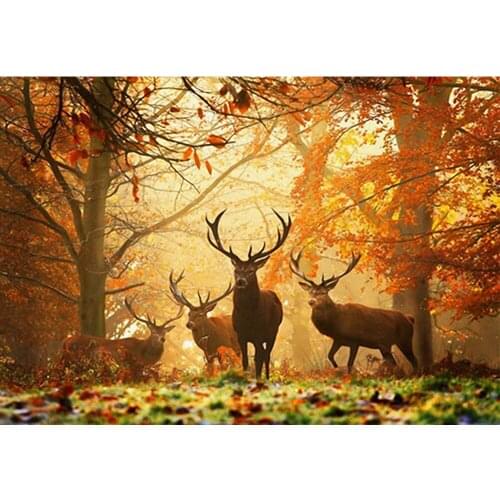 5D Forest Deer pattern Embroidery Paintings Rhinestone Pasted DIY Diamond Painting Cross Stitch home decoration accessories 2021