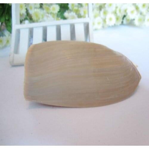 Natural conch shell 10-12 cm Beach Shells Crafts Seashells Aquarium Decor Aquarium Landscape Seashells Crafts/party Decor