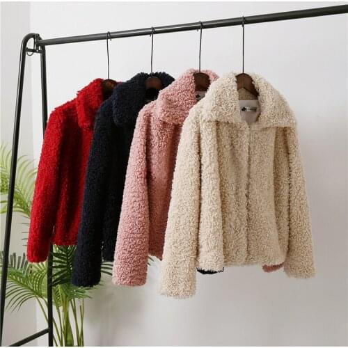 Short Fur Coat Female 2019 Winter Fashion New Temperament Lapel Imitation Sheep Curls Thick Warm Lamb Fur Coat Tide H00321