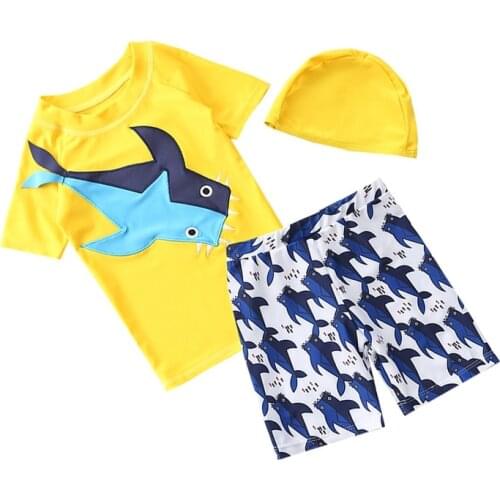 Kids Boy Swimsuit Bathwear Fashion Children Wetsuit For Boy Fashion SwimsuitsSwimable Bikini Sunfing Cartoon 3pcs Boy Swimwears