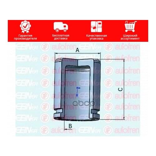 Seinsa Autofren Auto Gaskets