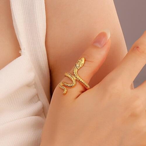 Trendy Vintage Metal Rings Womens Ins Wind Alloy Opening Web Celebrity Temperament Serpentine Rings Jewelry for Girls Party