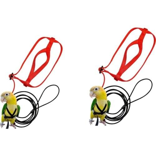 2 Pcs Pet Bird Harness And Leash,Adjustable Parrot Bird Harness Leash Pet Anti-Bite Leash-S & M