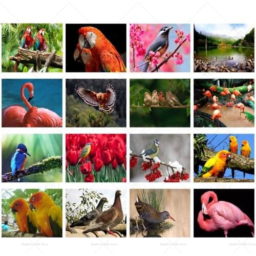 DIY Diamond Painting Beautiful Flame Bird Pigeon Gift Parrot Animal Diamond Embroidery Handmade Cross Stitch Home Decoration