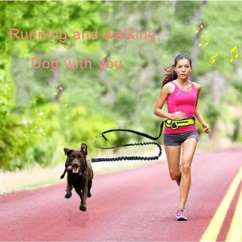 Hands-free Traction Rope Breathable Reflective Dog Rope Running Sports Adjustable Waist Bag Suit Pet Accessories Supplies
