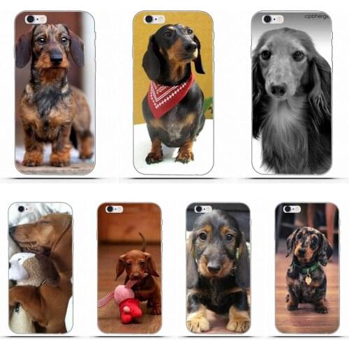 Wexoeq Aki Dachshund For Samsung Galaxy A3 A5 A7 J1 J2 J3 J5 J7 2015 2016 2017 Skin Thin