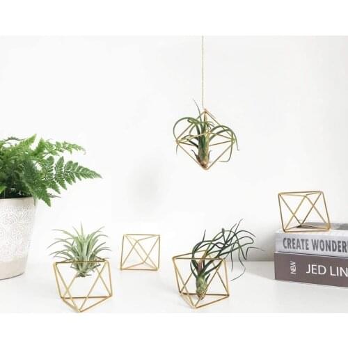 8 Pack Air Plant Holder Metal Himmeli Decor Modern Geometric Planter Airplants Rack Tillandsia Hange Air Fern Stand