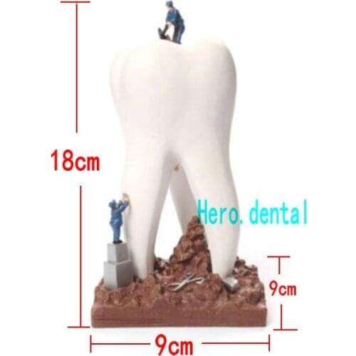 Dentist Gift Resin Crafts Toys Dental Artware Teeth Handicraft Dental Clinic Decoration Furnishing Articles Creative Sculpture