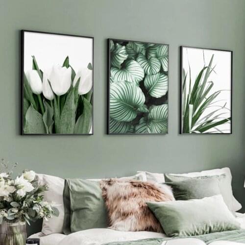 White tulip green orchid aloe monstera plant art canvas painting nordic posters and prints wall pictures for living room decor