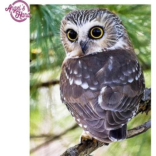 Full square drill Diamond embroidery animal owl 5D DIY diamond painting cross stitch Rhinestone mosaic decoration ZX