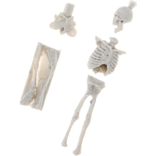 1/35 Mini Resin Unpainted Skull Skeleton Model Sculpture for Sand Table Prop