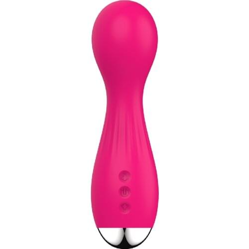 LEYKE Vibrators