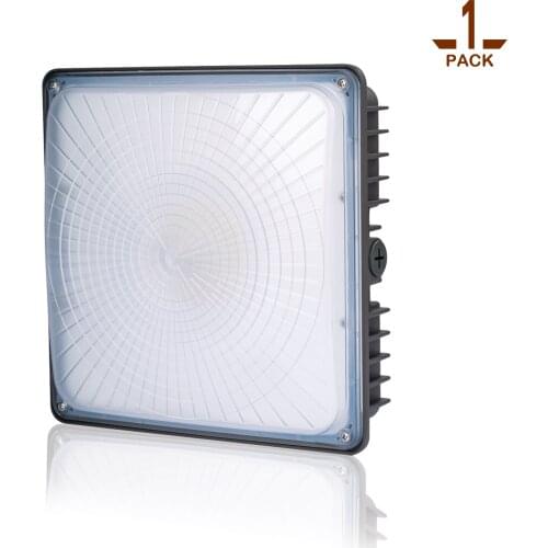 4 Pack LED Canopy Light Commerical Grade Weatherproof Outdoor Balcony Carport Driveway Ceiling Light led gas station light