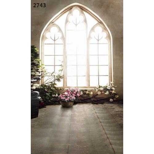 220CM * 150CM new2014 vinyl photography backdrops photo studio photographic background windows and sunshine