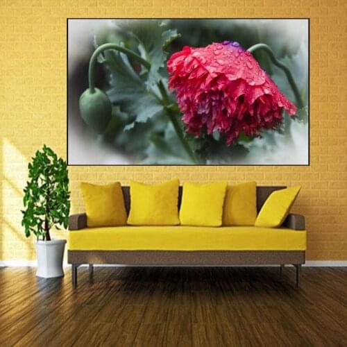 5D Diy Diamond Painting Cross Stitch full Square Round Diamond Embroidery Poppy flower picture for room Decor H904