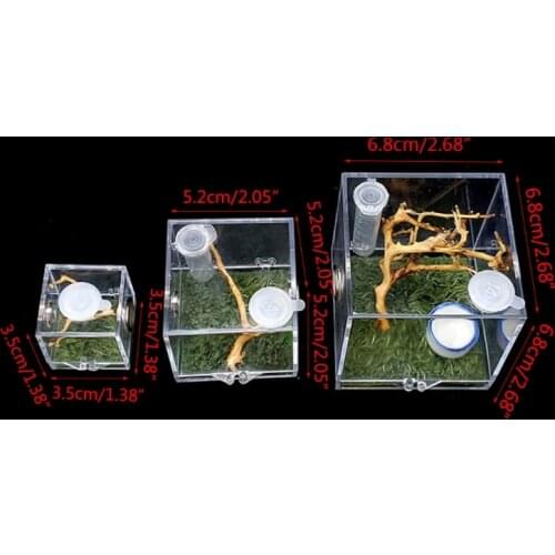 Spider Habitat Feeding Cage Nano Breeding Box for Spiders Grasshopper Cricket Scorpions Mantis Beetle and Small Reptile
