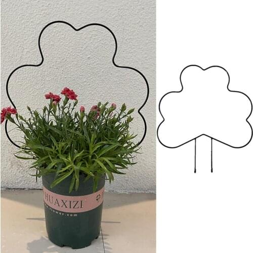 2PCS Iron Garden Stake for Climbing Plants Vine Plant Support for Potted Climbing Vines