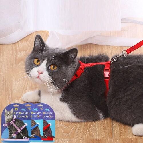 LIMARIO LIMARIO Collars For Cats