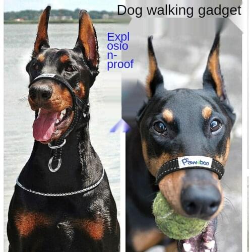  PETKIT China