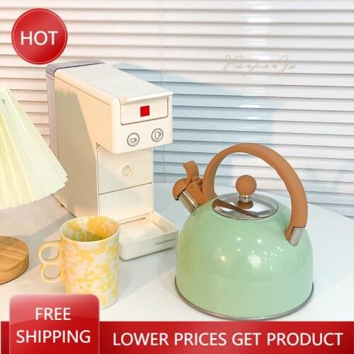 Electric Kettle Tea Pot Flask Coffee Pot Hot Water Health Pot Enameled Kettle Electric Samovar Tetera Silbante Camping Kettle