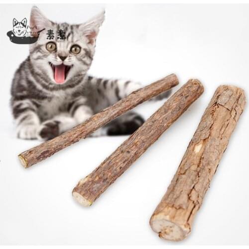 5-25pcs Natural Catnip Cat Teeth Sticks Brushing Pure Pet Toys Molar Toothpaste Fruit Branch Cleaning Teeth Cat Snacks Stick Toy