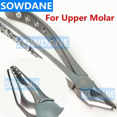 Stainless steel Dental Adult Teeth Extraction Plier for Upper Molar Surgical Toothdental Orthodontic Instrument Tool