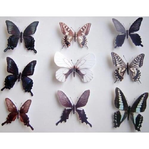 Butterfly specimens (14 stypes) Paper Model